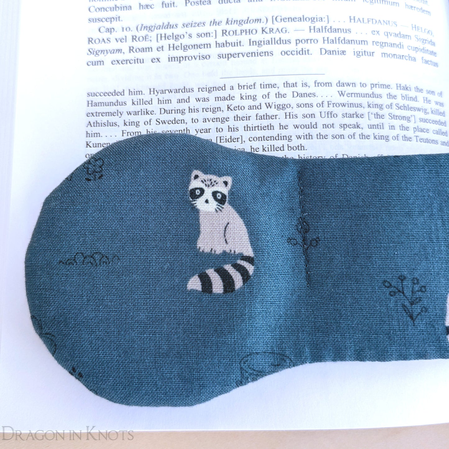 Raccoon Book Weight - Dragon in Knots