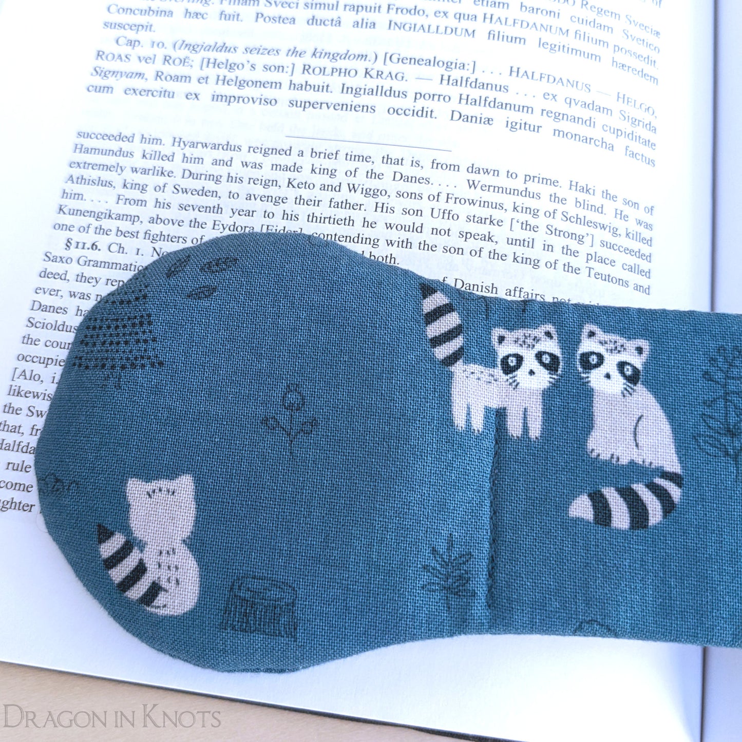 Raccoon Book Weight - Dragon in Knots